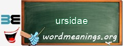 WordMeaning blackboard for ursidae